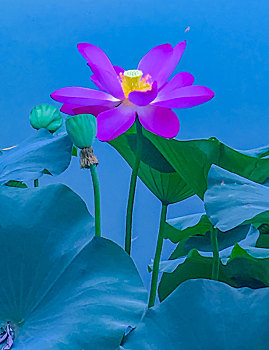 cách đánh lô miền nam